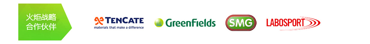 火炬戰(zhàn)略合作伙伴