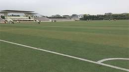 福建中醫(yī)藥大學(xué)