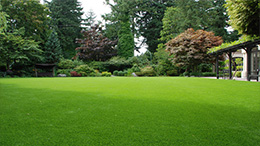 加拿大休閑場(chǎng)地