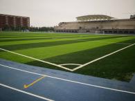 東北大學(xué)渾南校區(qū)